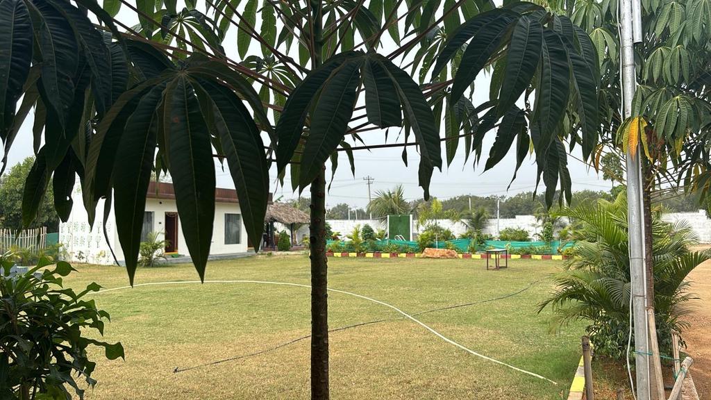 Lawn at APR Botanica, Amdapur, Moinabad